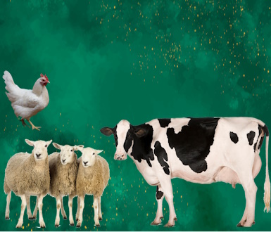 veterinary feed supplements